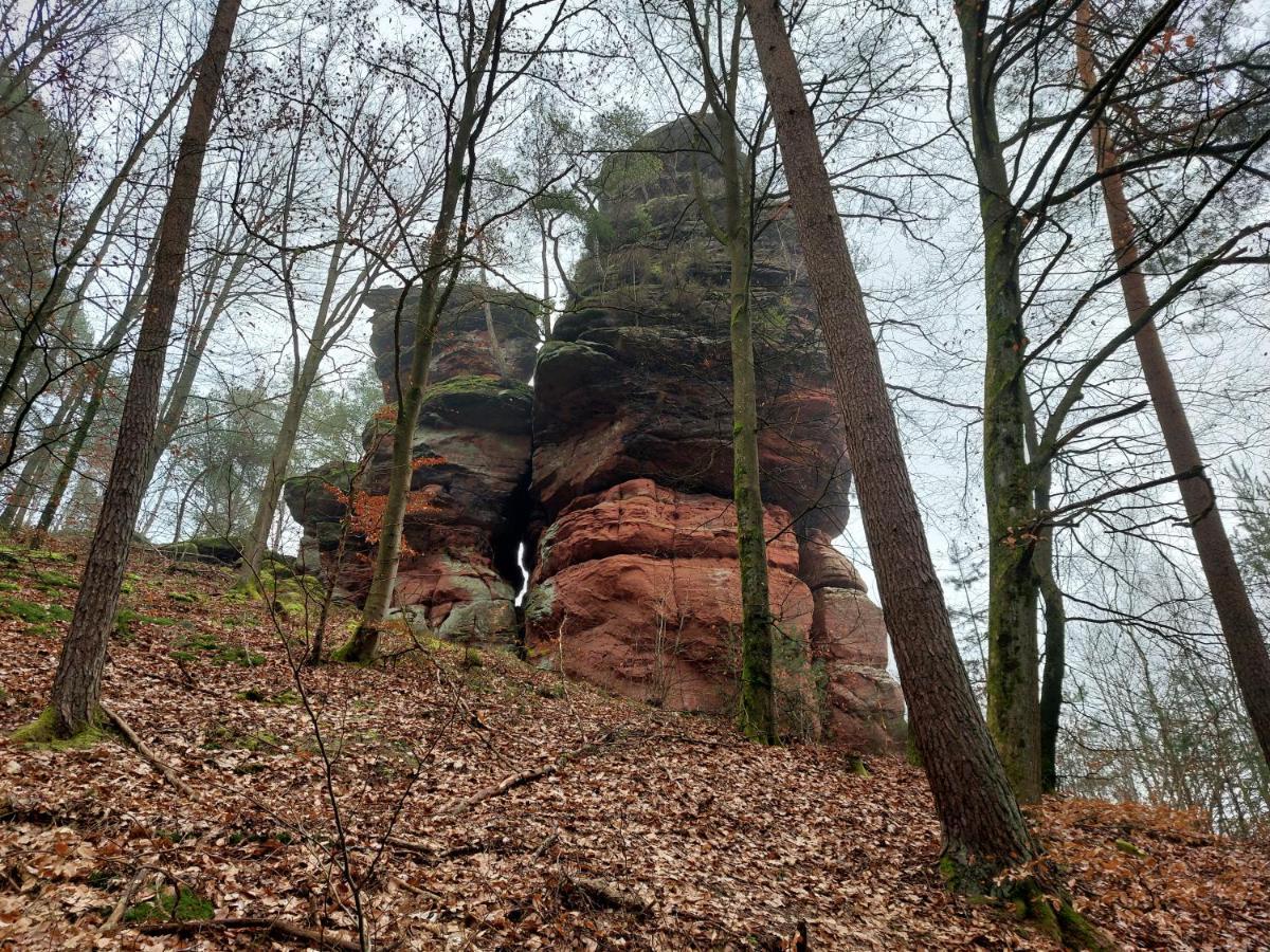 Ferienwohnung Unterm Rappenfels Hinterweidenthal Экстерьер фото